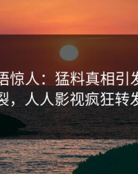 网红一语惊人：猛料真相引发全网炸裂，人人影视疯狂转发